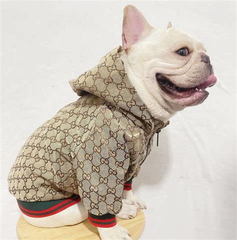 gucci pet sweater|gucci dog jacket sale.